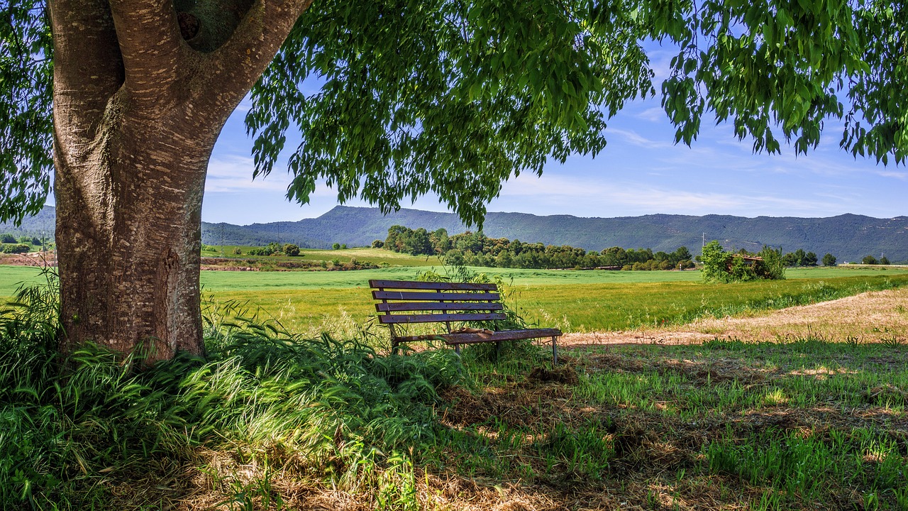 El impacto del turismo rural en la revitalización de tradiciones y economías locales